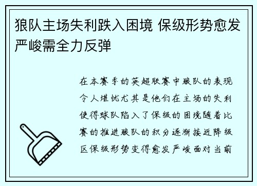狼队主场失利跌入困境 保级形势愈发严峻需全力反弹