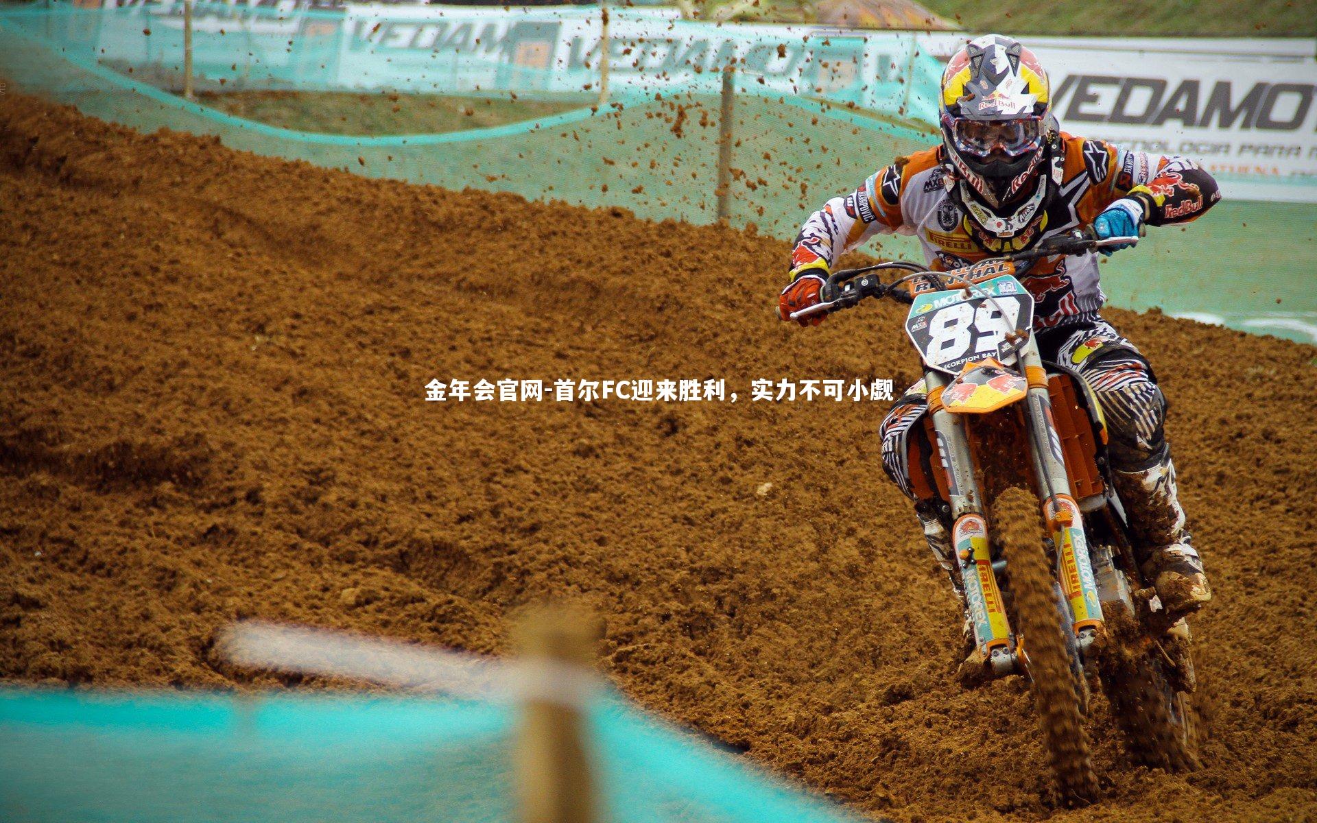 首尔FC迎来胜利,实力不可小觑