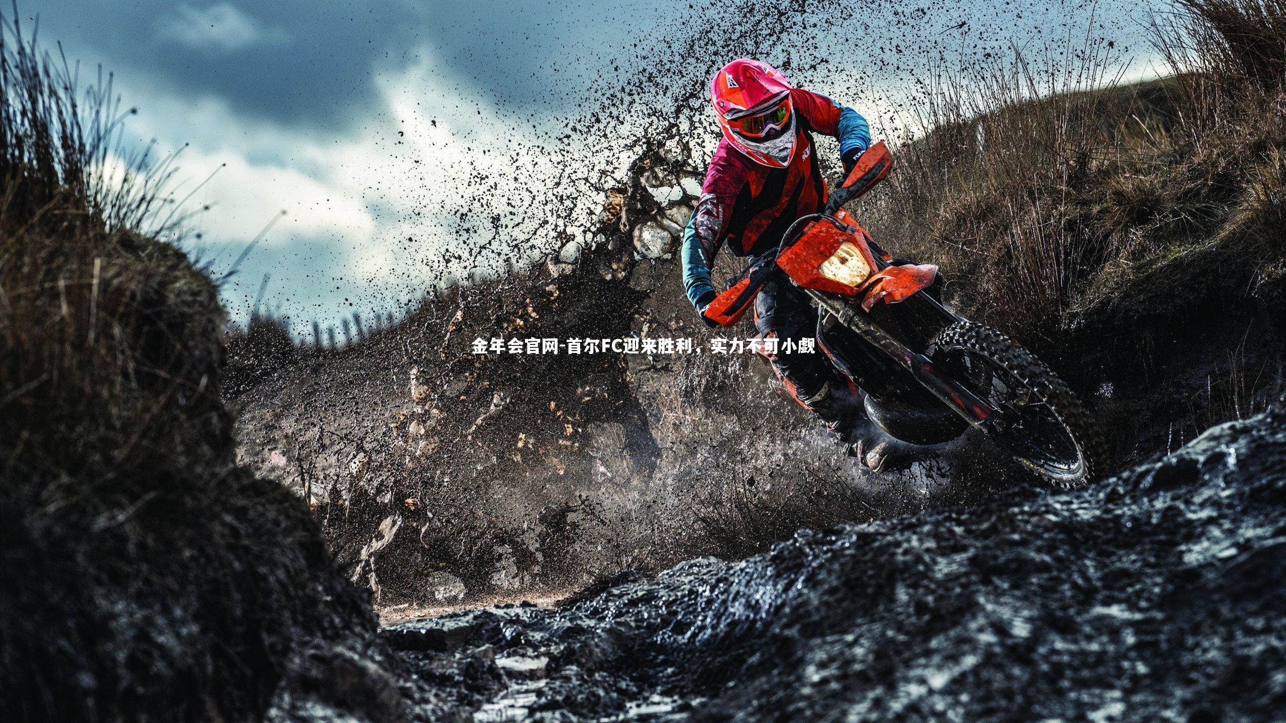 首尔FC迎来胜利,实力不可小觑