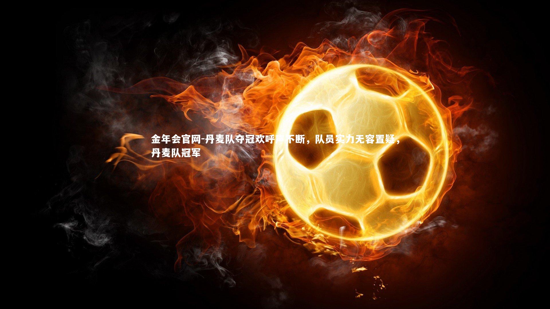 丹麦队夺冠欢呼声不断，队员实力无容置疑，丹麦队冠军