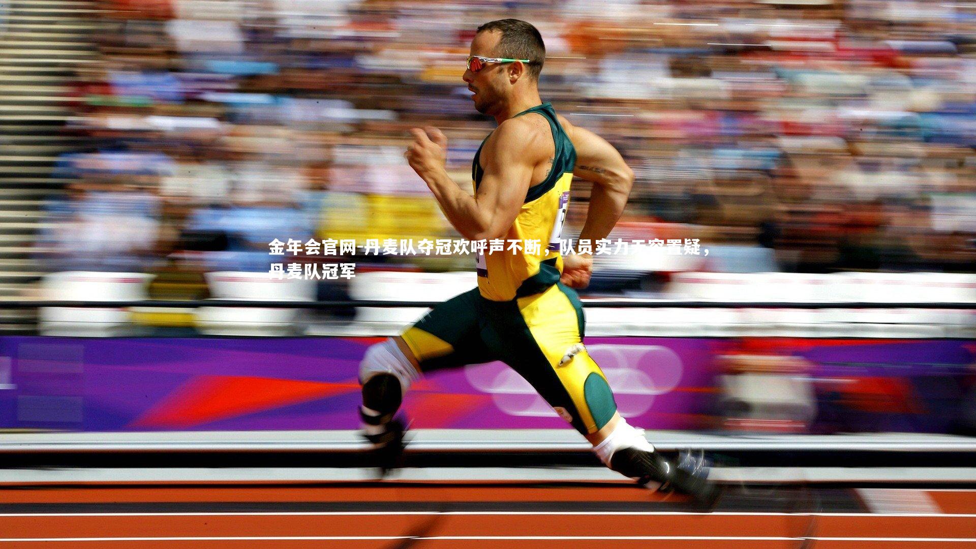 丹麦队夺冠欢呼声不断，队员实力无容置疑，丹麦队冠军