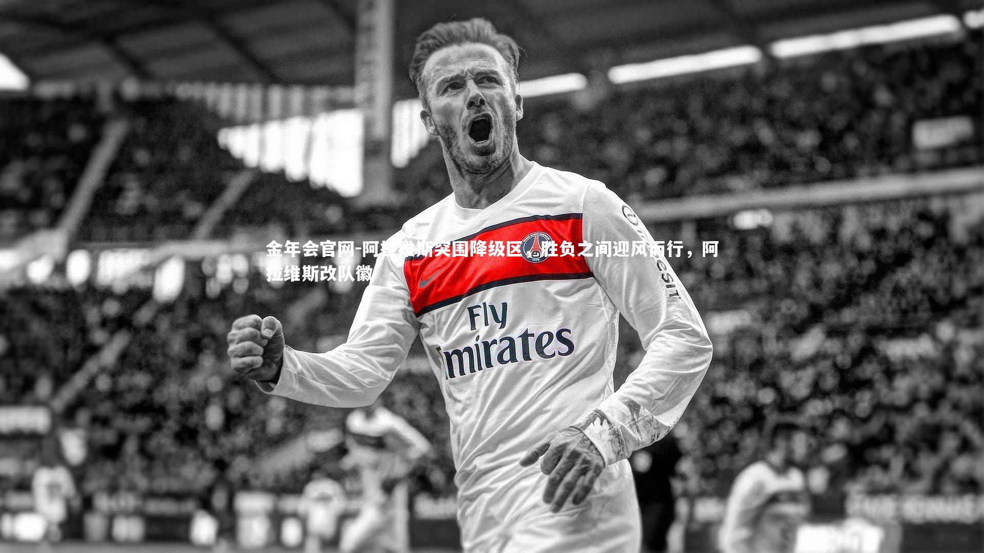 金年会官网-阿拉维斯突围降级区，胜负之间迎风而行，阿拉维斯改队徽